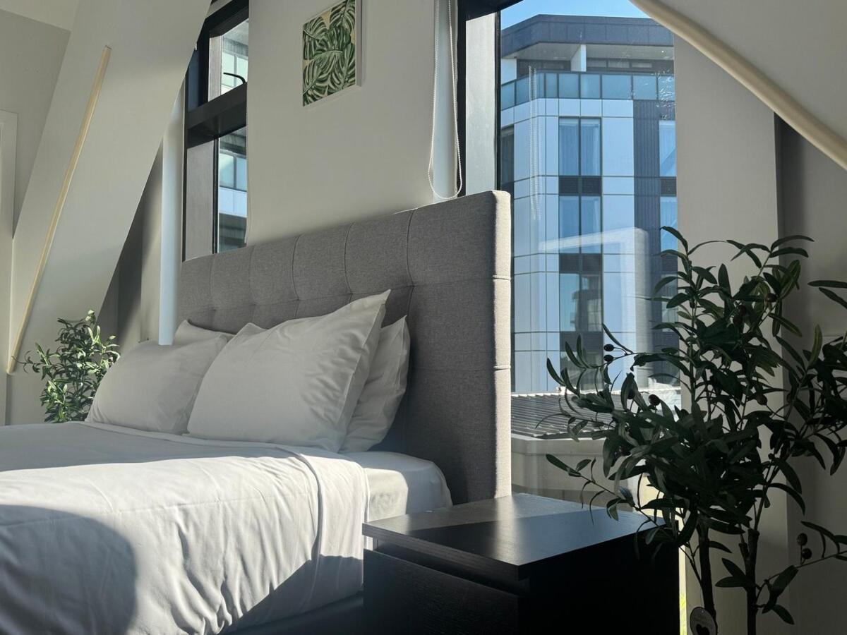 Azeroth - Comfy & Artistic In Newmarket Apartment