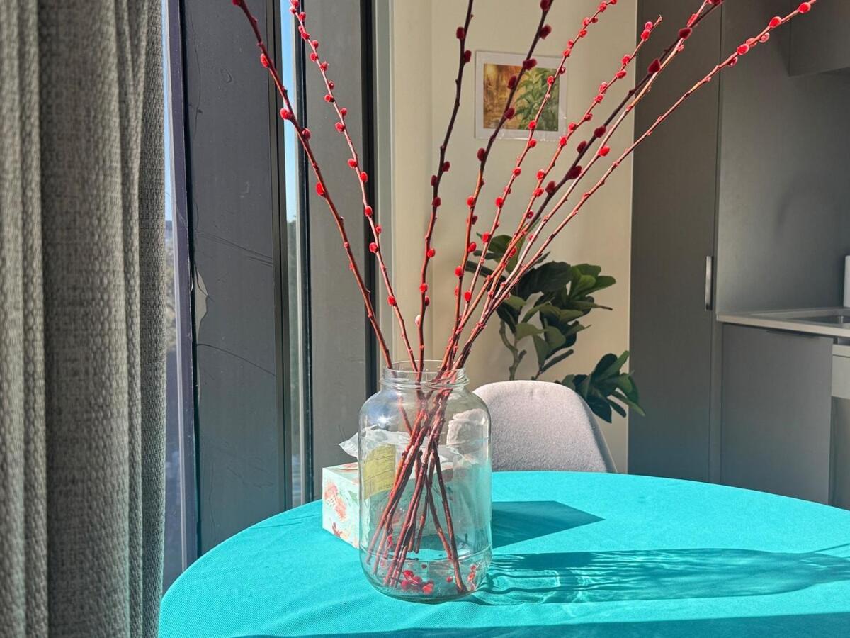 Apartment Azeroth - Comfy & Artistic In Newmarket Auckland